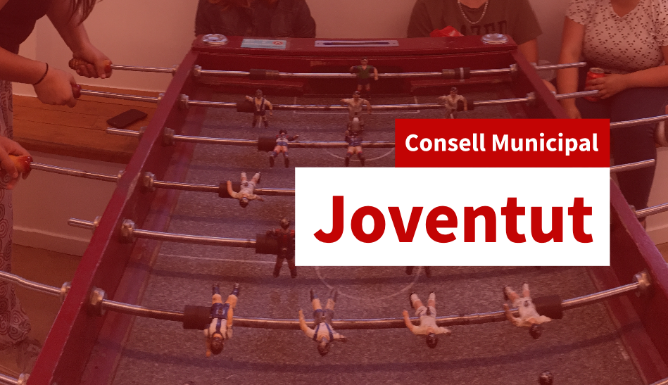 Imagen para los medios: Consejo Municipal de Juventud