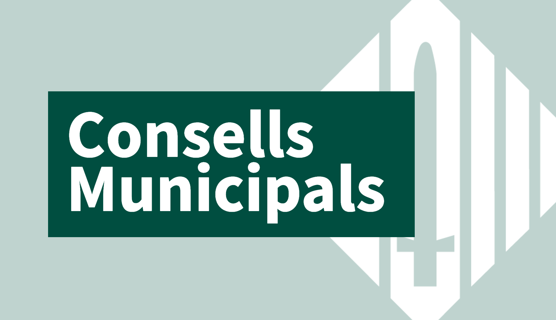 Imatge pels mitjans: Consells Municipals