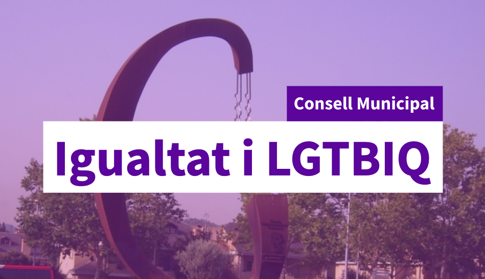 Imatge pels mitjans: Consell Municipal de Polítiques d'Igualtat i LGTBIQ