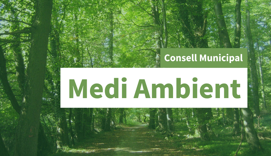 Imagen para los medios: Consejo Municipal de Medio Ambiente